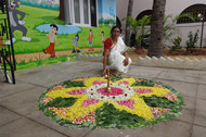 Onam 2015